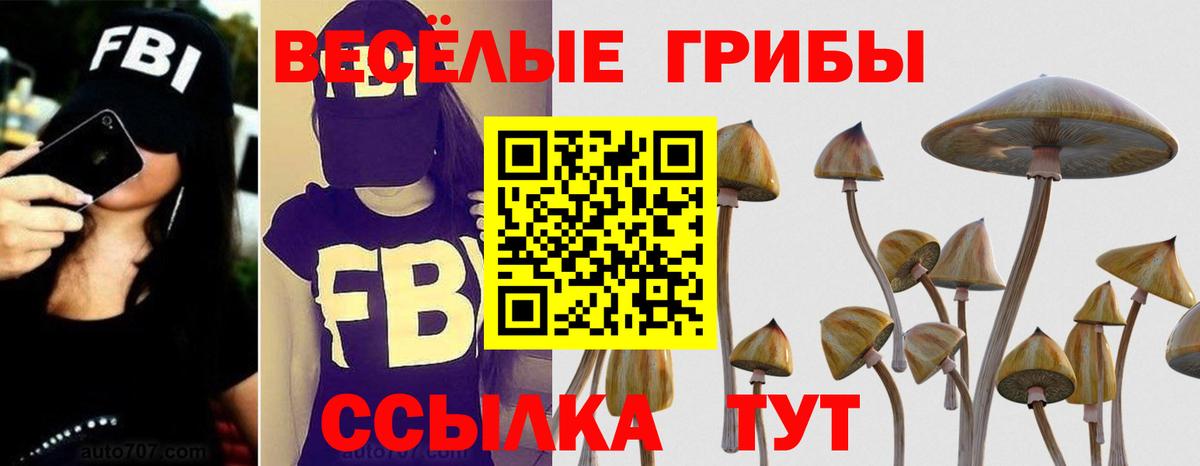Псилоцибиновые грибы MAGIC MUSHROOMS  Псилоцибиновые грибы мицелий  Вход с VPN  Армавир 