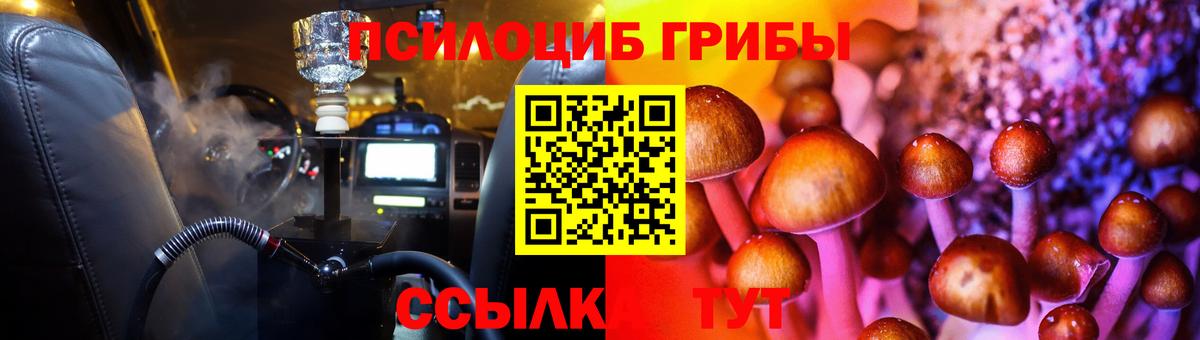 Псилоцибиновые грибы Psilocybine cubensis Армавир